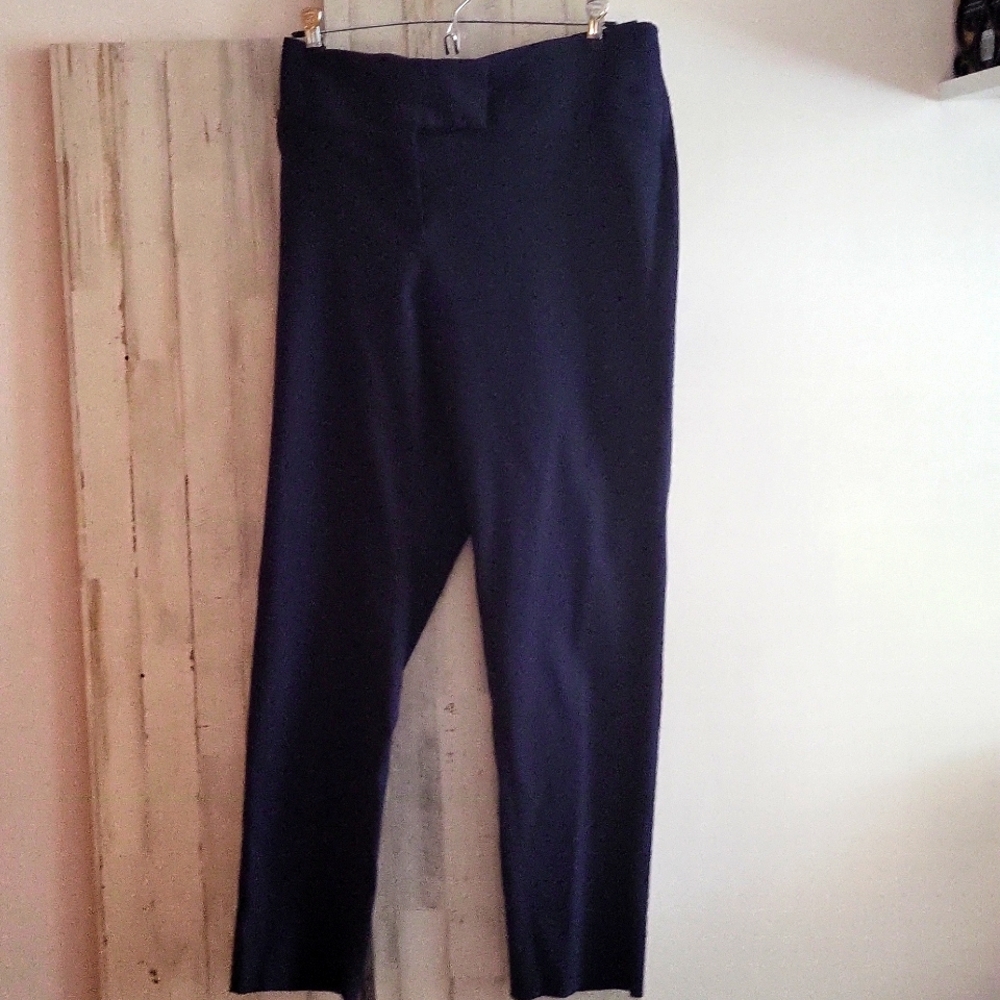 Torrid navy blue pants